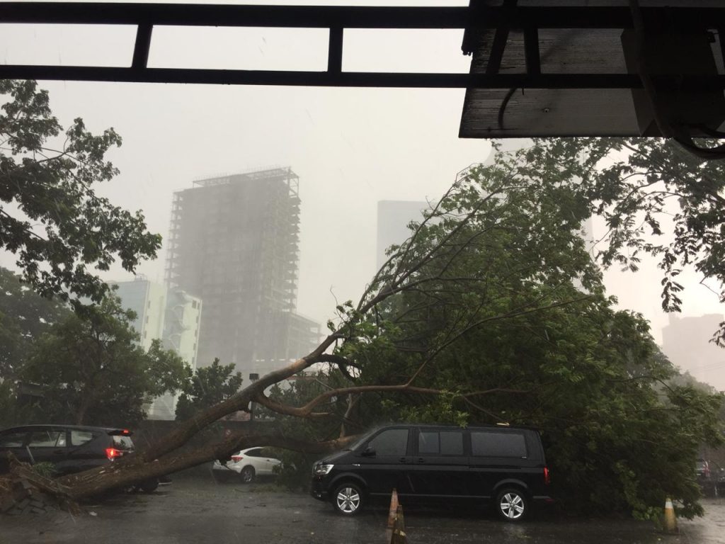 Hujan Disertai Angin Kencang, Pohon di Area Pakir Hotel JW Marriott Tumbang