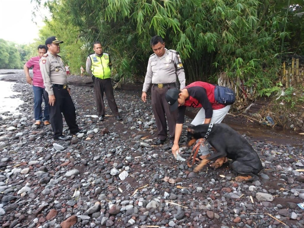 Polisi Lumajang Gunakan K9 Buru Maling Sapi