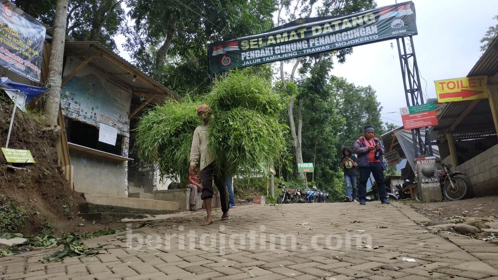 Petugas Pastikan Tidak Ada Pendaki dari Jalur Pendakian Tamiajeng