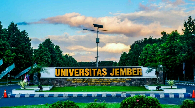 Magang Jangka Pendek Tak Cukup Bagi Mahasiswa