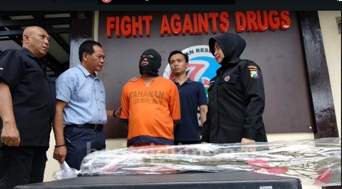 Buat Tambah Stamina, Pria Ini Nekat Tanam Ganja