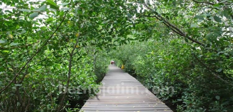 Sinergi dengan Jepang, Pemkot Surabaya Mantapkan Kebun Raya Mangrove