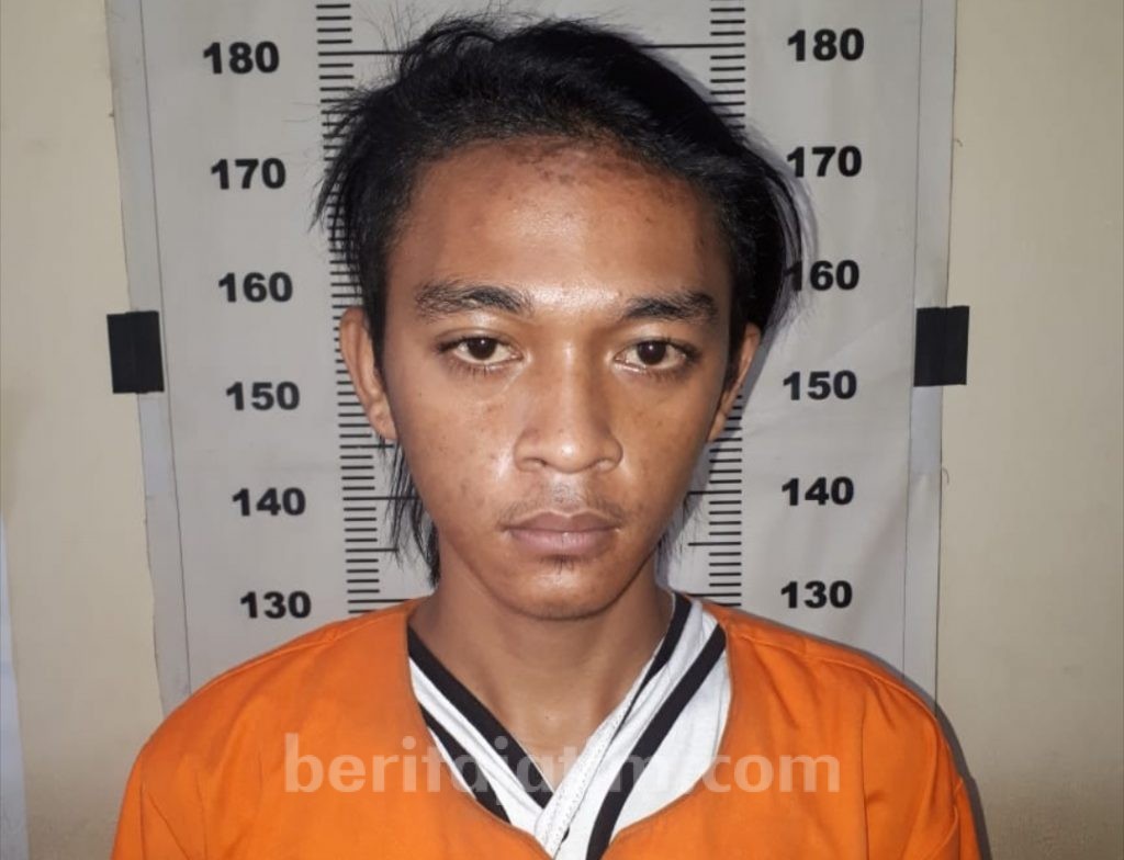 Baru 2 Kali Hisap, Jagal Sapi Diringkus Polisi