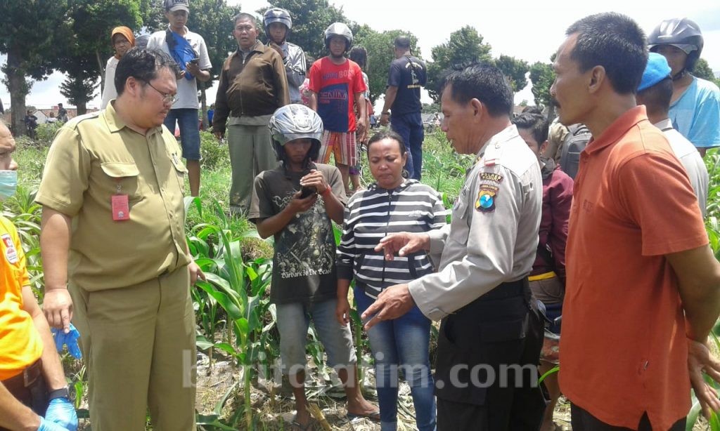 Hilang Sehari, Mbah Surip Ditemukan Mati di Sawah