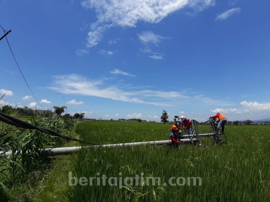 Data Terbaru: 849 Gardu Listrik Sempat Rusak Diterjang Puting Beliung
