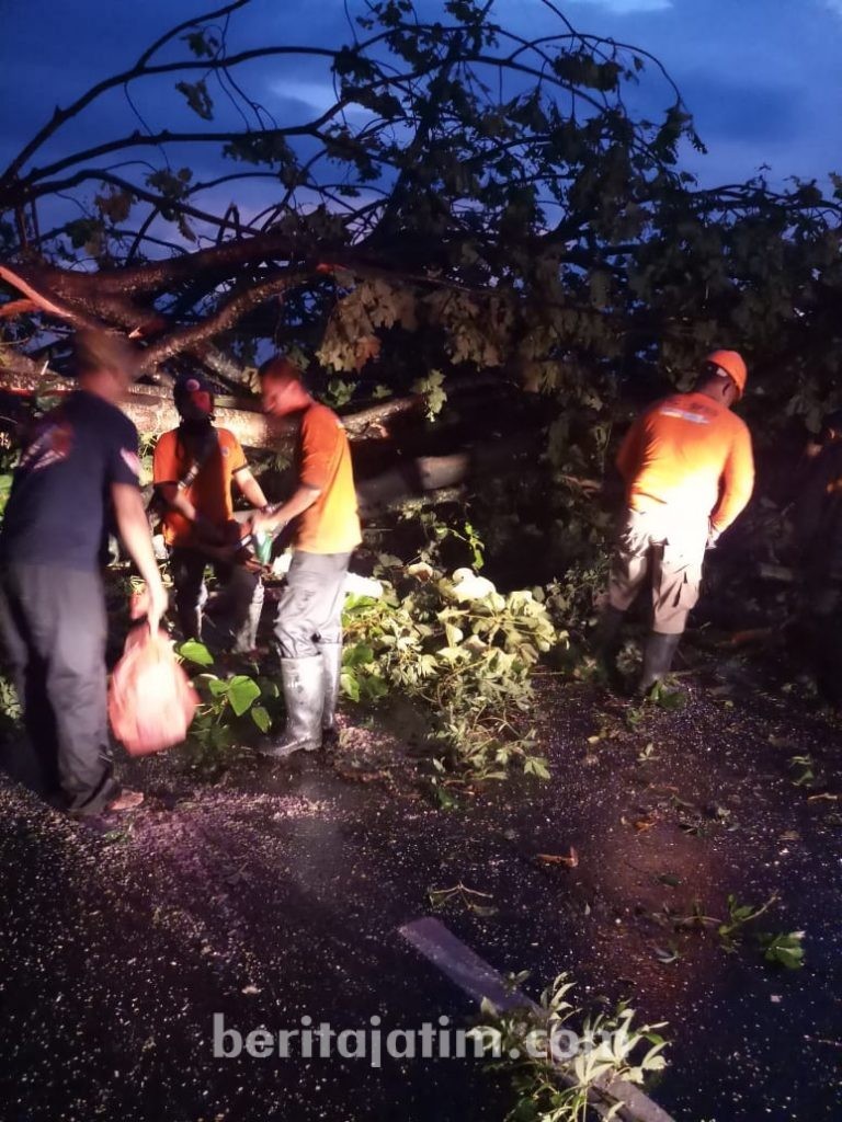 Puluhan Bangunan di Jember Rusak Diterjang Puting Beliung
