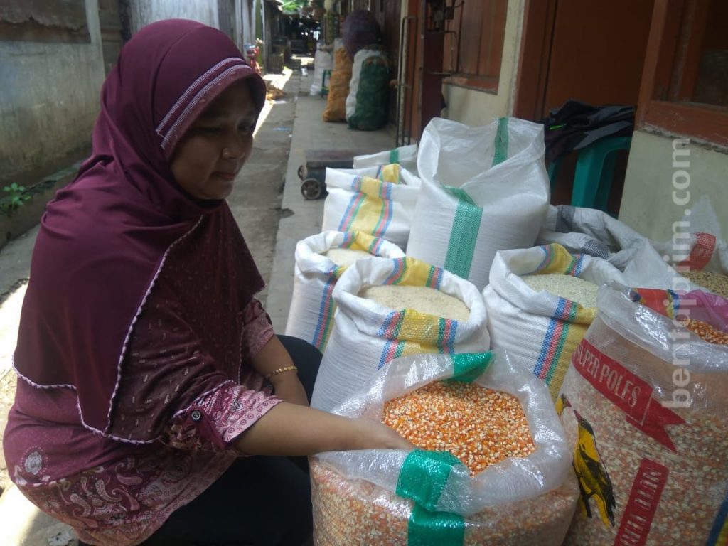 Harga Jagung Merosot, Beras Ikut-ikutan
