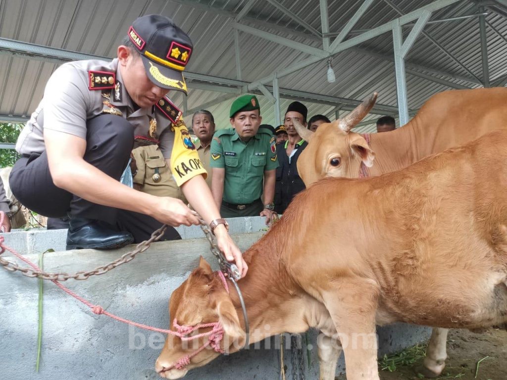 Gaster, Terobosan Polres Lumajang Atasi Pencurian Sapi