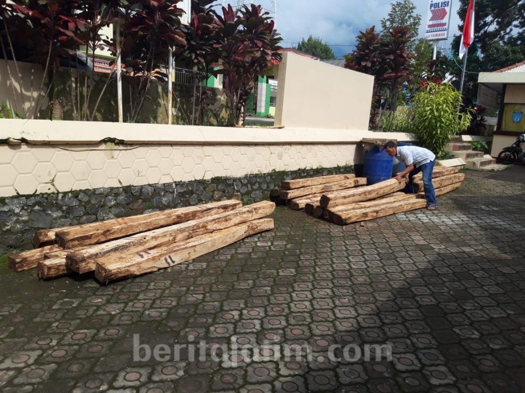 Komplotan Penjarah Hutan Dibekuk, 29 Kayu Jati Disita
