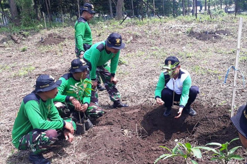 Puslatpurmar 5 Baluran Tanam Pohon Mangga Garifta