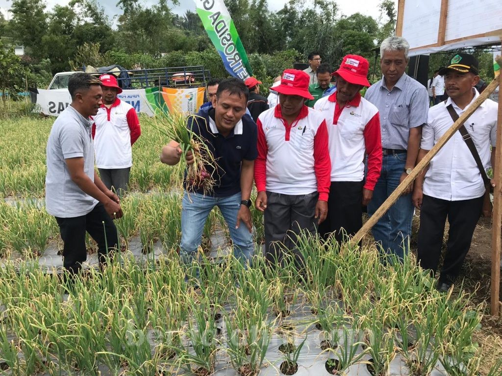 Baru 13,5 Persen Petani Indonesia Gunakan Pupuk Organik