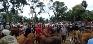 Lapak Tergusur Jalan Tol, Pedagang Pasar Hewan Singosari Protes