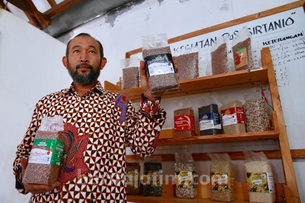 Perdana, Beras Organik Banyuwangi Diekspor ke Italia