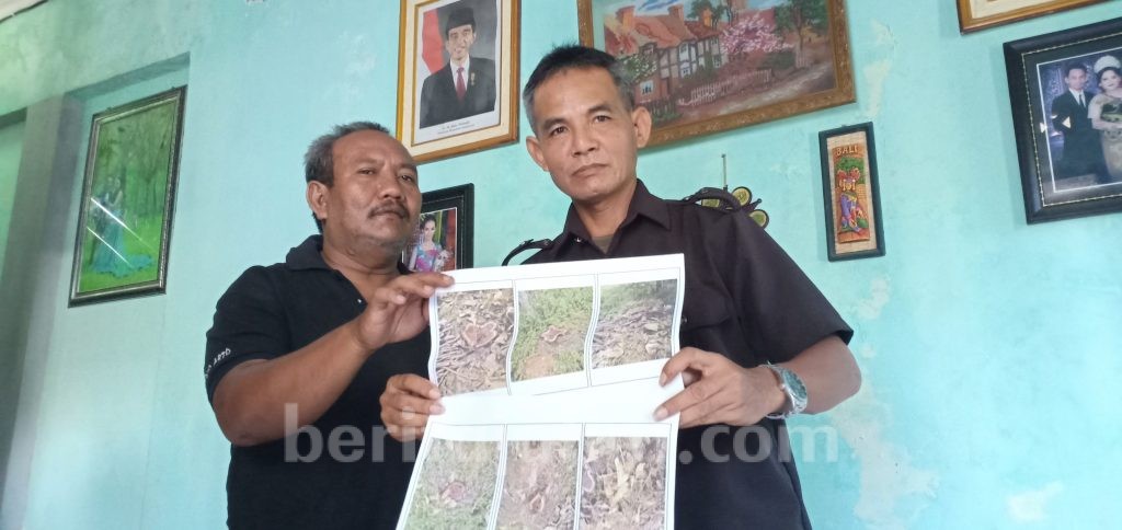 Potong Pohon Jati, Warga Kabupaten Kediri Dilaporkan Polisi