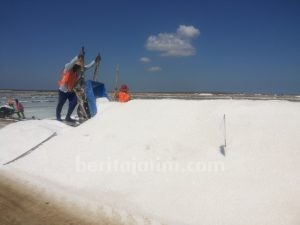 Puluhan Ribu Ton Garam Rakyat Menumpuk di Petani