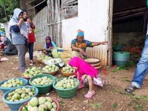 Festival Srikaya, Upaya Angkat Potensi Buah Lokal Sumenep