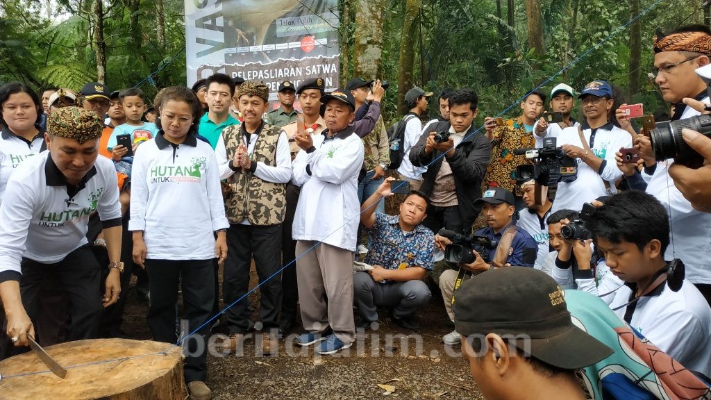40 Persen Wilayah di Jatim adalah Hutan