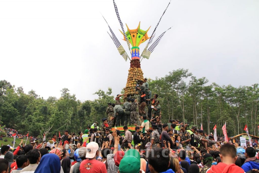 Kurang dari Satu Jam, 2.019 Butir Durian Ludes Tak Tersisa
