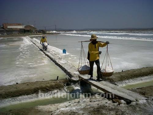 90 Ribu Ton Garam Produksi 2018 Tak Terserap