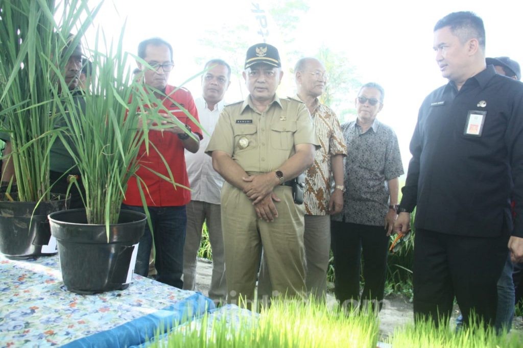 Ini Cara Pemkab Malang Optimalkan Sektor Pertanian
