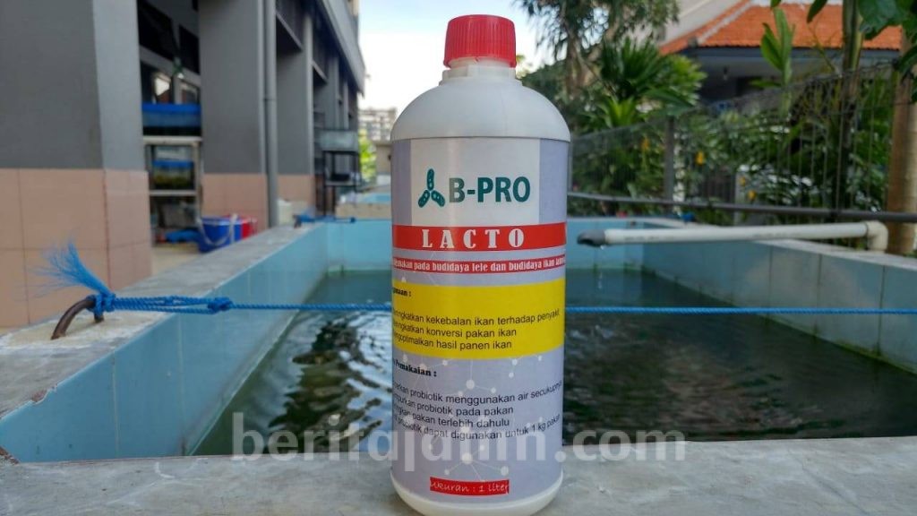 Mahasiswa Unair Ciptakan Probiotik Khusus Ikan