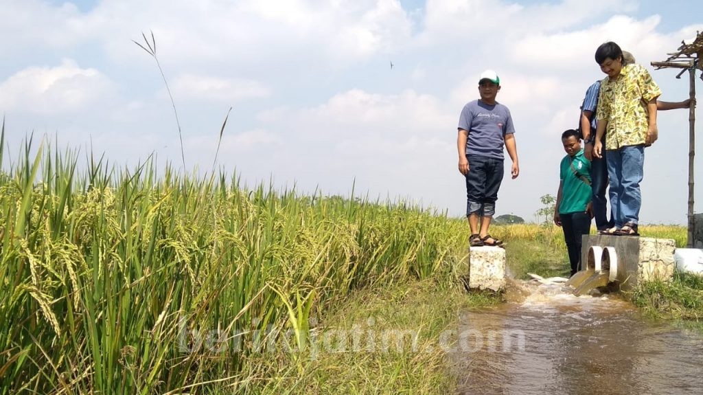 Bojonegoro Anggarkan Rp 15 Miliar untuk Kartu Petani Mandiri