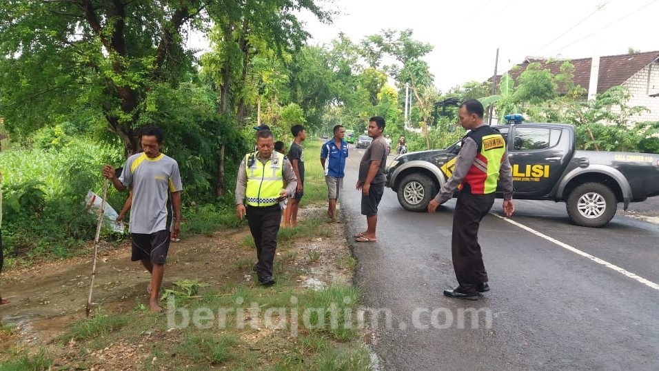Hujan Deras, Biker Ini Tewas Tabrak Pohon di Tikungan