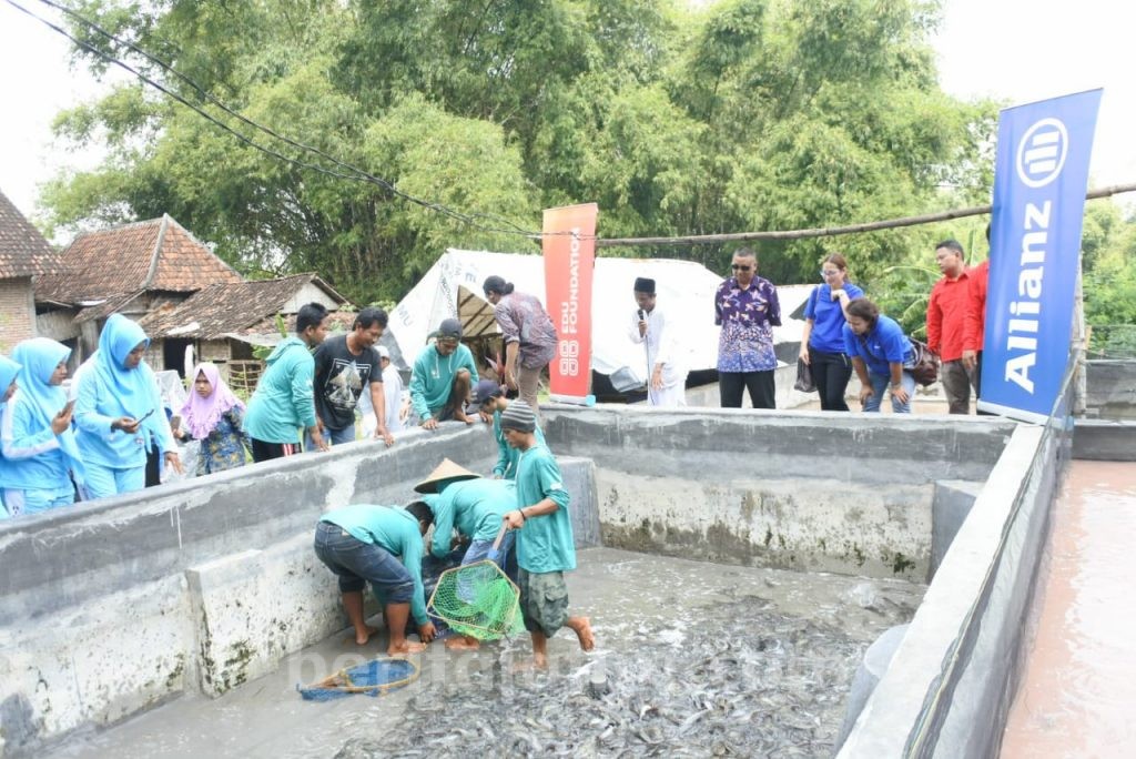 Kiai Sufaat Menangis Jika Ikan Lele Miliknya Mati