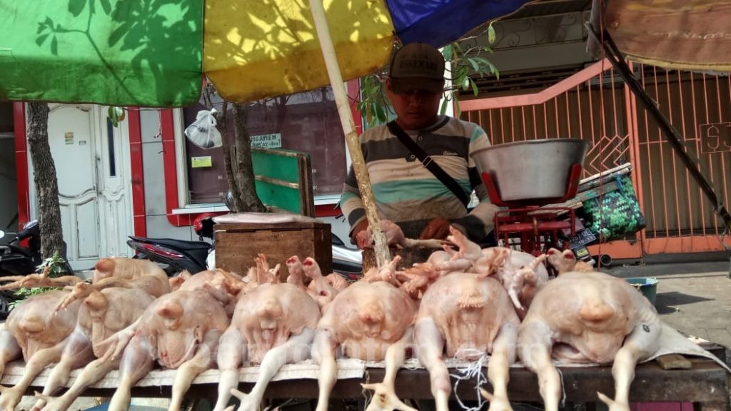 Naik, Daging Ayam di Kota Mojokerto Rp 34 Ribu/kg