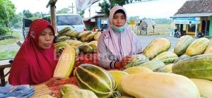 Buah Ini Hanya Ada saat Ramadan di Banyuwangi