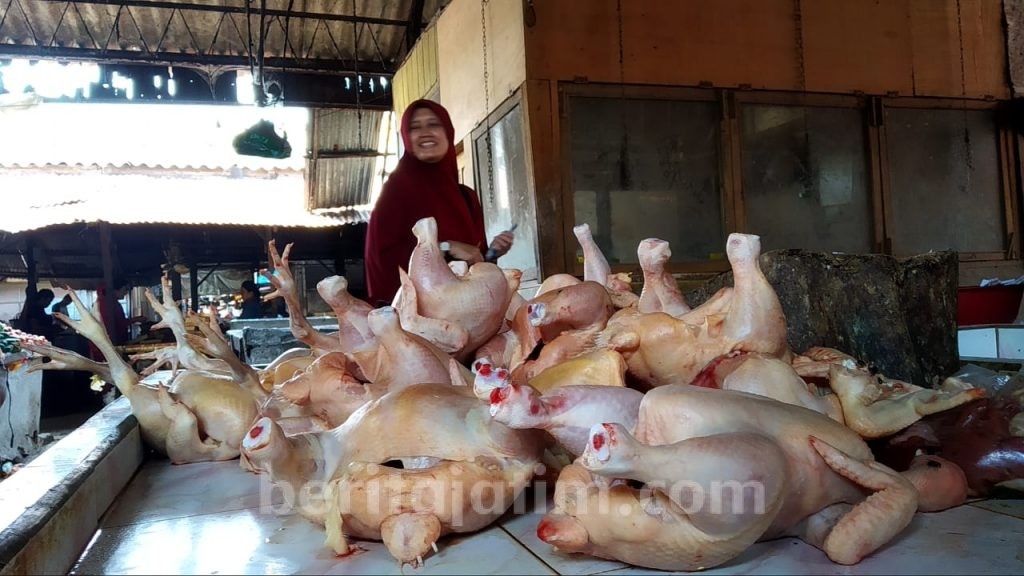 Dinas Pertanian Kabupaten Mojokerto Awasi Daging Tak Sehat