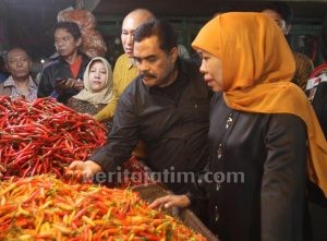 Gubernur Jatim: Bupati/Walikota Lakukan Gerakan Borong Cabai