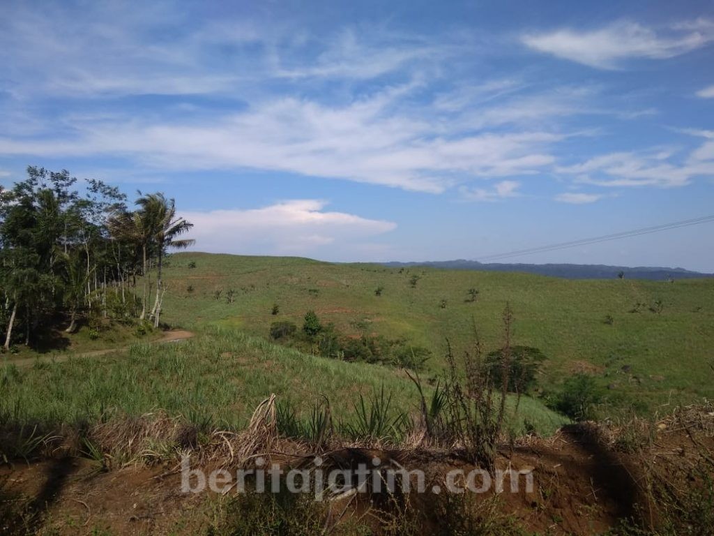 HGU Perkebunan Punya Kewenangan Konstitusional
