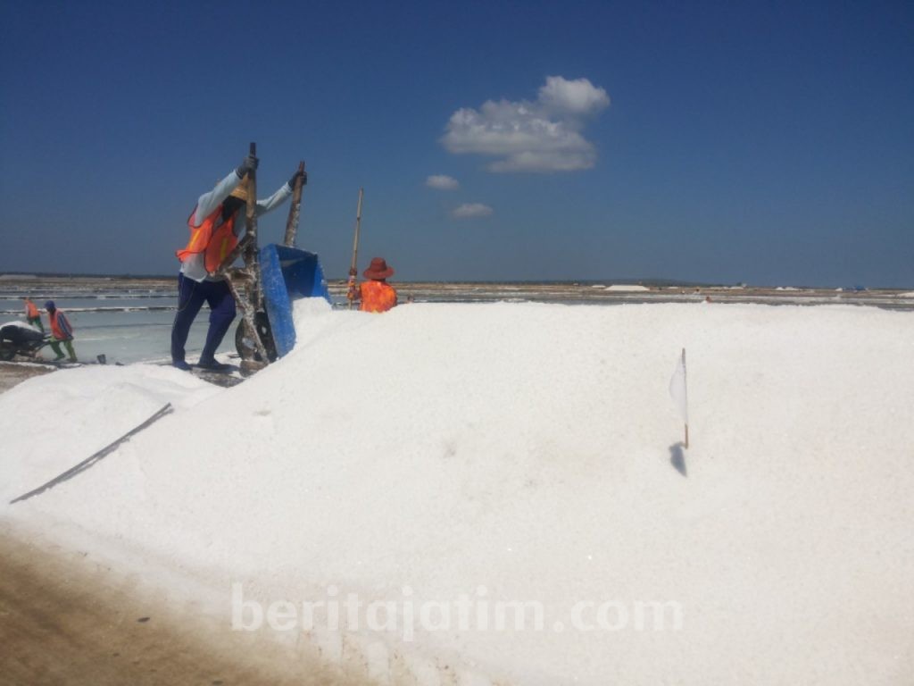 Cuaca Mendukung, Petani Garam Sumenep Bisa Panen Akhir Mei