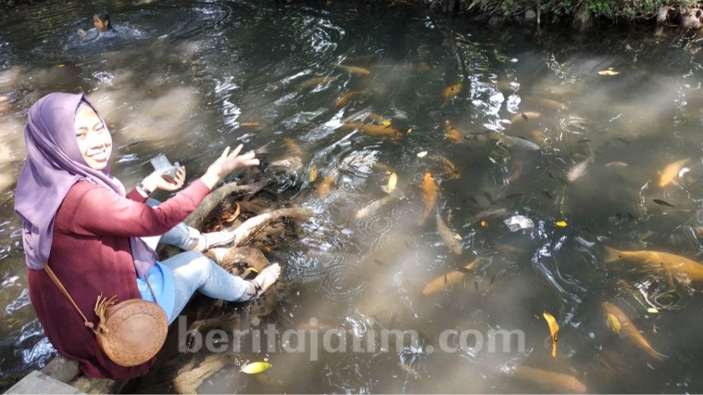 Di Kolam Sumber Wuluh, Ngabuburit Berteman Ikan