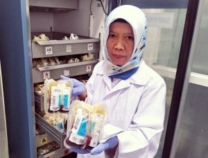 Bulan Puasa, Stok Darah di PMI Ponorogo Menipis