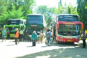 Siapkan 97 Armada Bus AKAP Trayek Sumenep – Jakarta