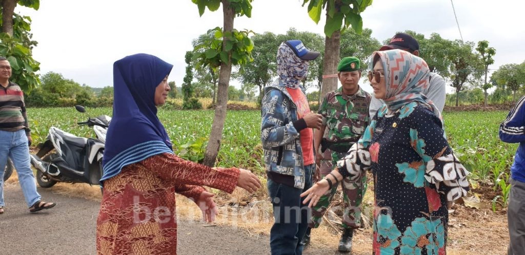 Pemprov: Mayoritas Masyarakat Jenu-Tuban Setuju Pembangunan Kilang Minyak