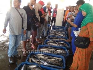 Musim Angin Barat, Nelayan Sendangbiru Stop Melaut