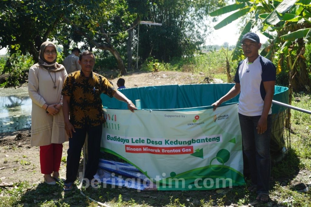 Minarak Brantas Gas Beri Pelatihan Budidaya Lele ke Warga Kedungbanteng