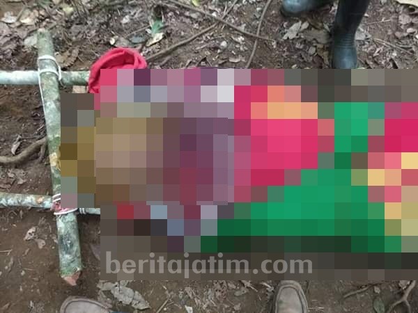 Simpatisan RAPI Meninggal Mendadak di Pegunungan Argopuro