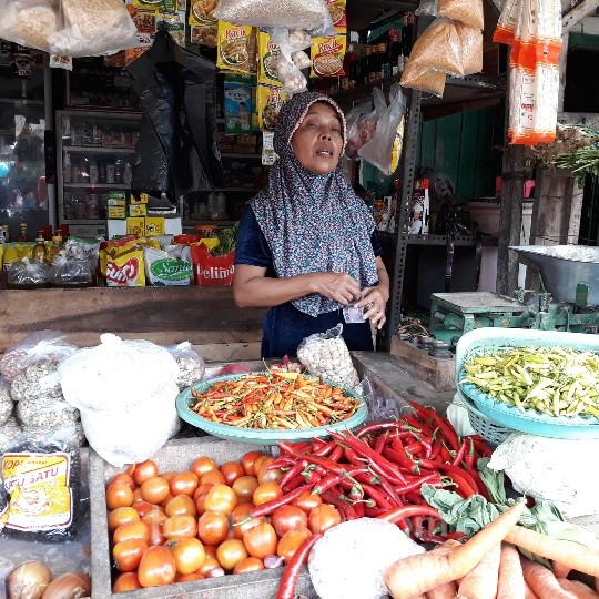 Harga Cabai Rawit Kembali Melejit