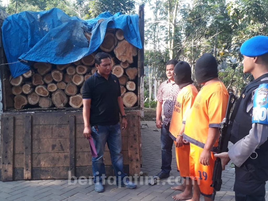 Bapak-Anak di Malang Kompak Jual 200 Pohon Jati Curian