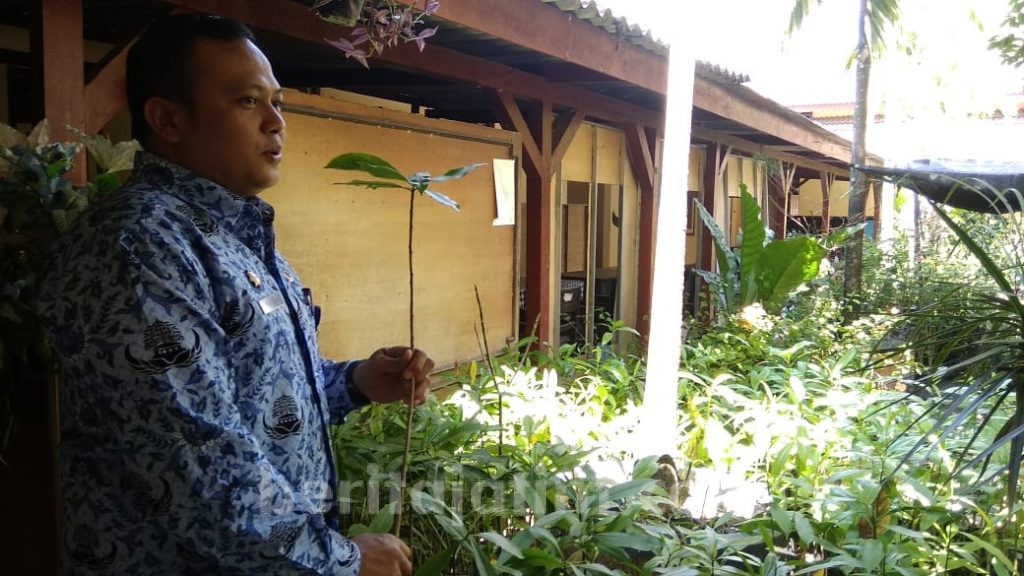 Siapkan Pohon Bintaro untuk Penghijauan di Sumur Tua