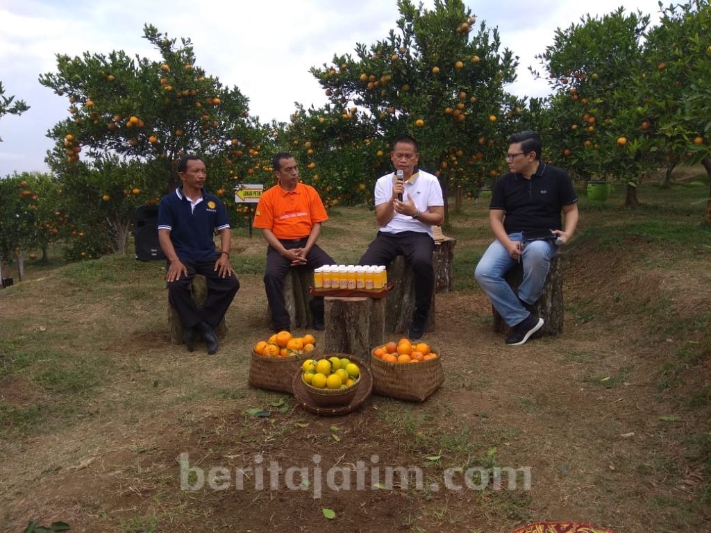 Teknologi ‘Bujangseta’ Bikin Panen Jeruk Indonesia Meningkat