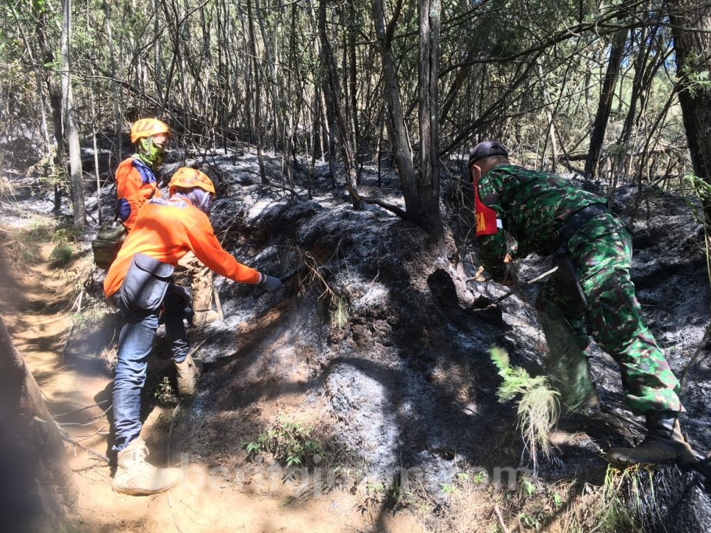 Ada Tiga Titik Penyebab Kebakaran Gunung Panderman