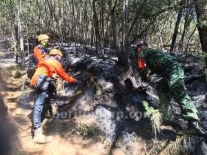 Ada Tiga Titik Penyebab Kebakaran Gunung Panderman