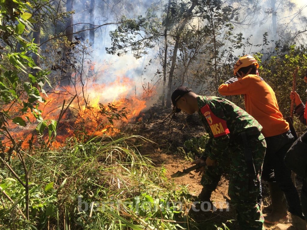 Kebakaran Gunung Panderman Menyisahkan Lereng Sisi Timur