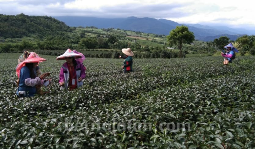 Wisata Negeri Taiwan yang Cukup Menggoda: Taitung