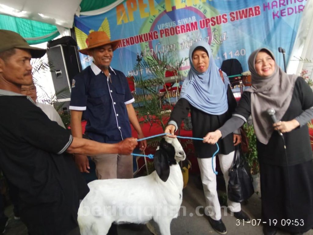 Jelang Idul Adha, 105 Ekor Sapi di Kota Kediri Ikuti Apel Ternak